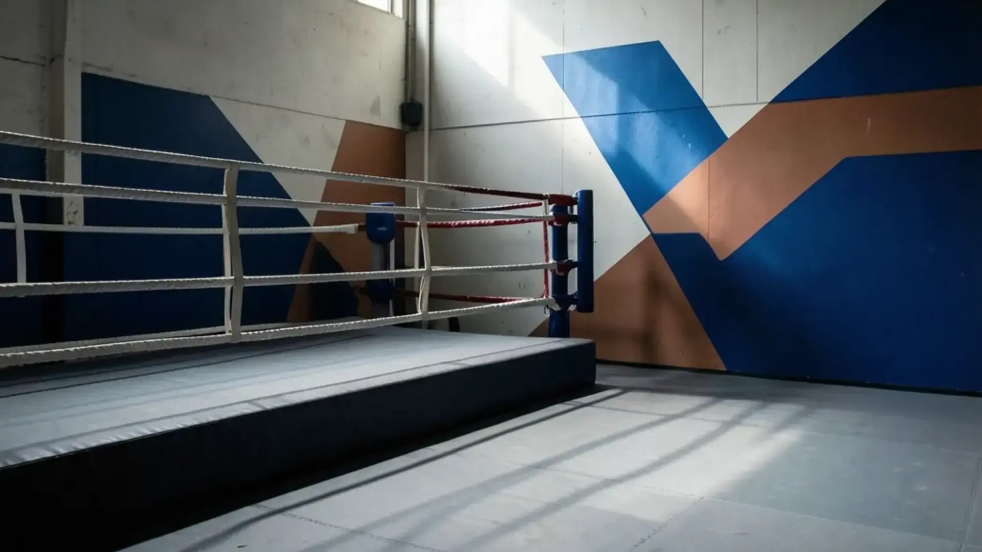 Kharscap training floor with the ring and mat area